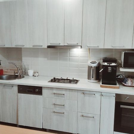 Inessa Center Guest Penthhouse Lägenhet Chişinau Exteriör bild